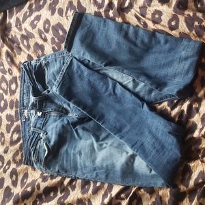 Levi's Denizen Low-Rise Jeggings, Size 5 Long